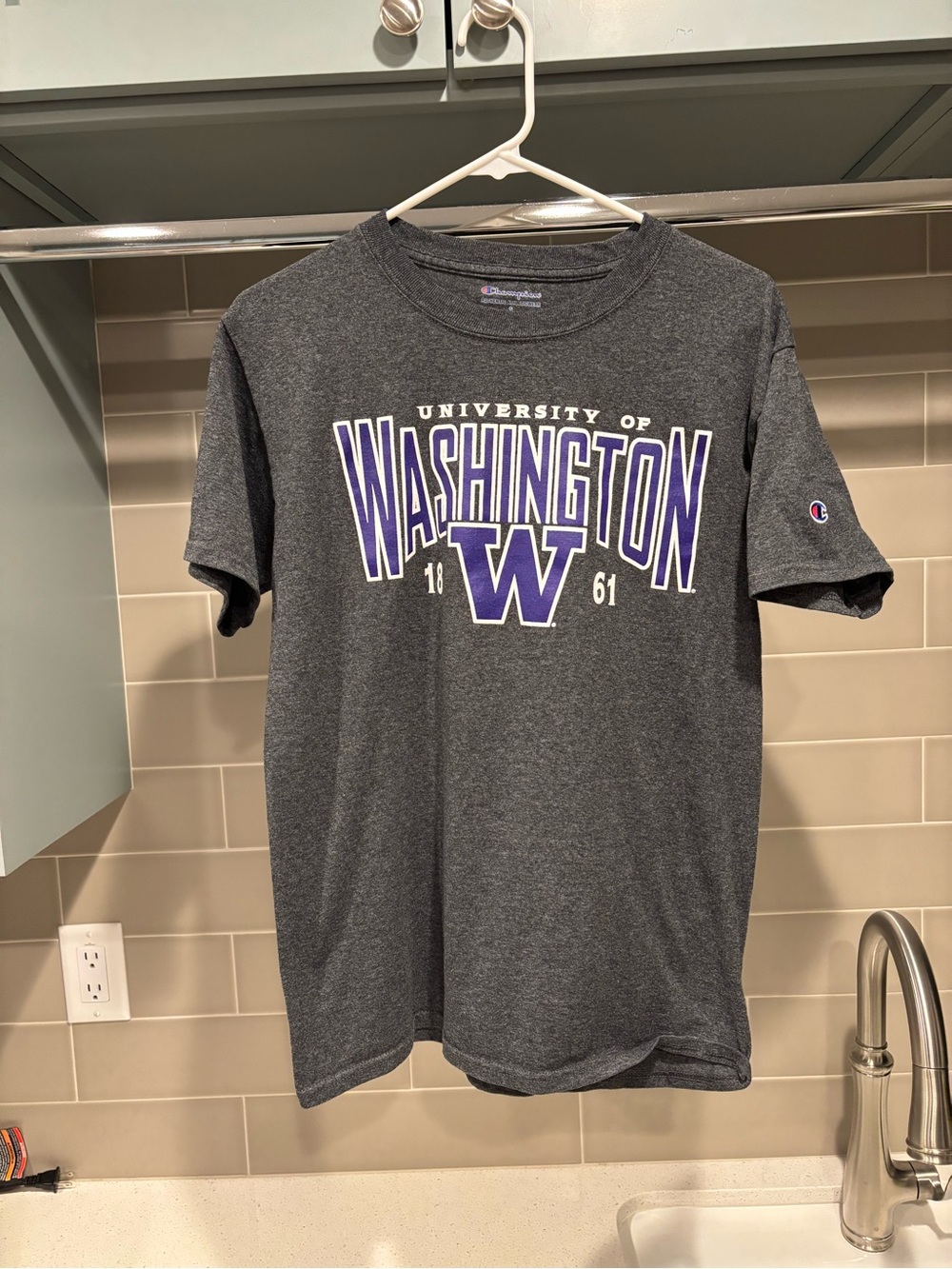 University of Washington Champion Grey Tee Size S Purple